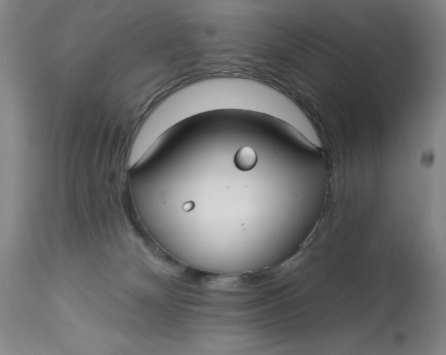 X0000113160132200909251402