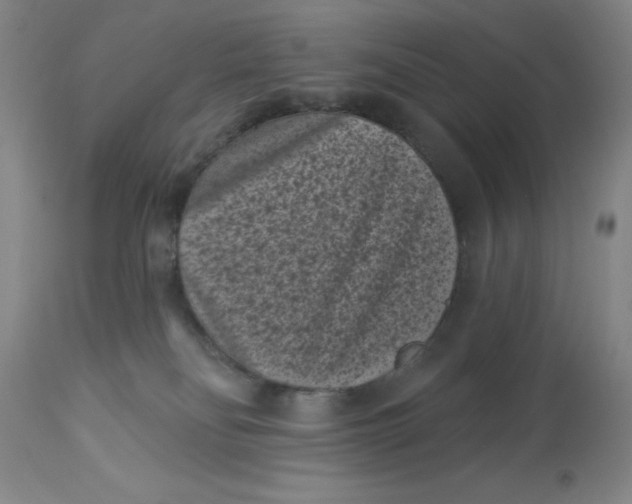 X0000113160134200909251402