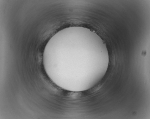 X0000113160135200909251402