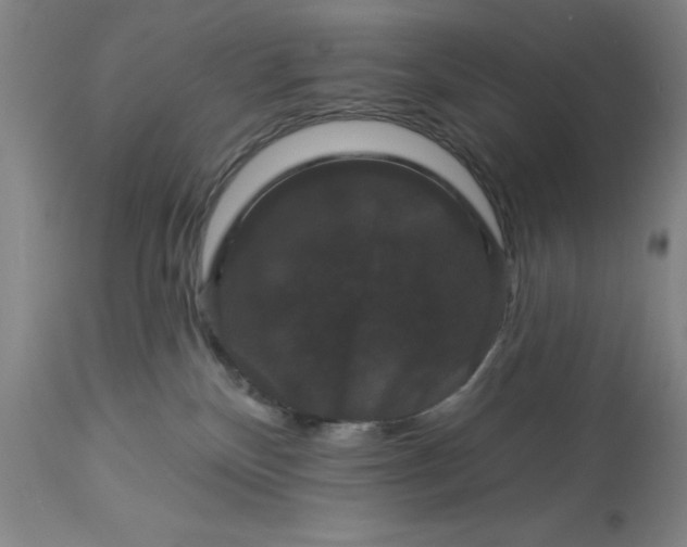 X0000113160136200909251402