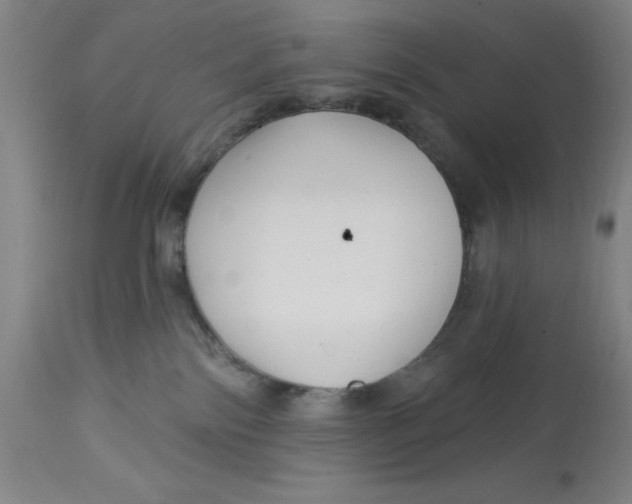 X0000113160138200909251402