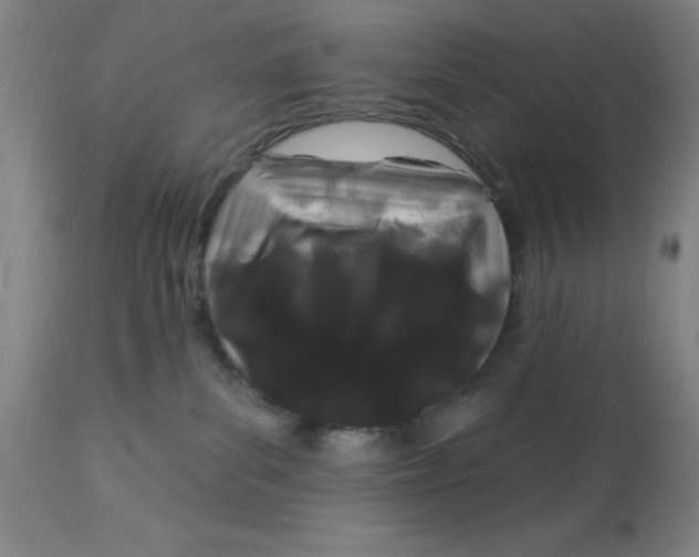 X0000113160139200909251402