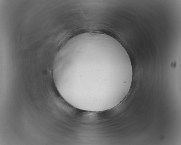 X0000113160140200909251402