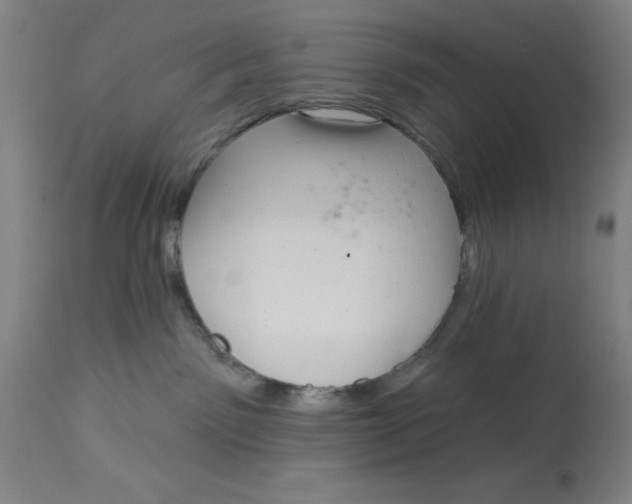 X0000113160141200909251402