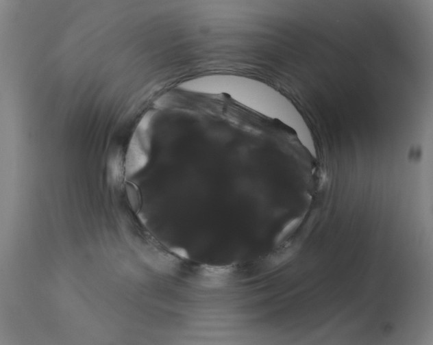 X0000113160143200909251402