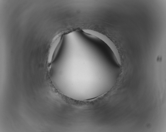 X0000113160144200909251402