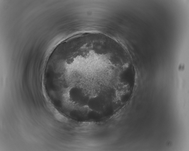 X0000113160145200909251401