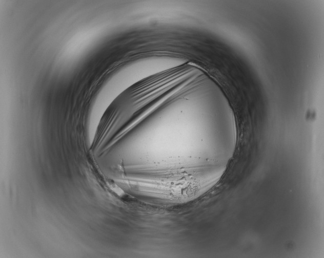 X0000113160146200909251401