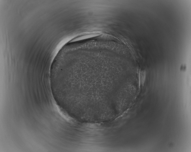 X0000113160147200909251401