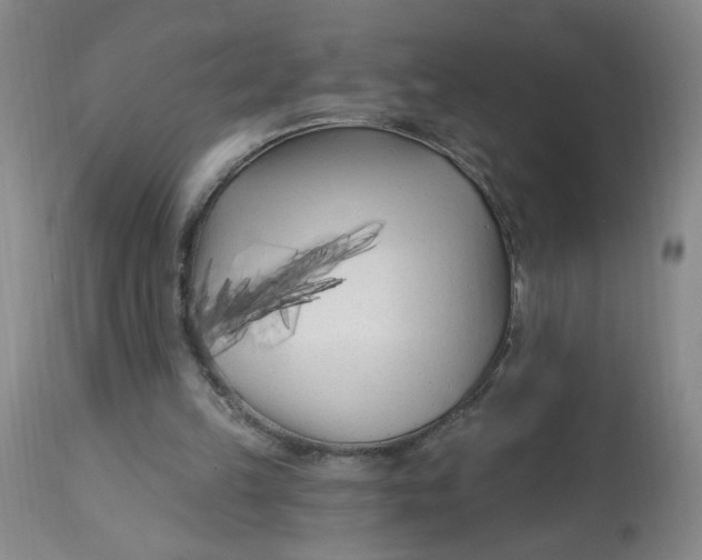 X0000113160149200909251401