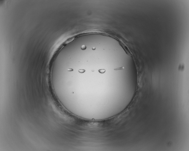 X0000113160152200909251401