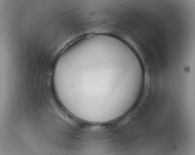 X0000113160153200909251401