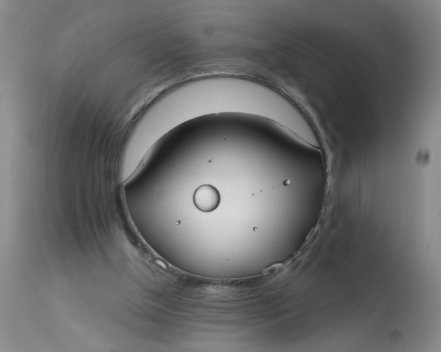 X0000113160154200909251401