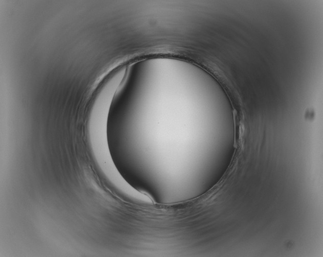 X0000113160156200909251401