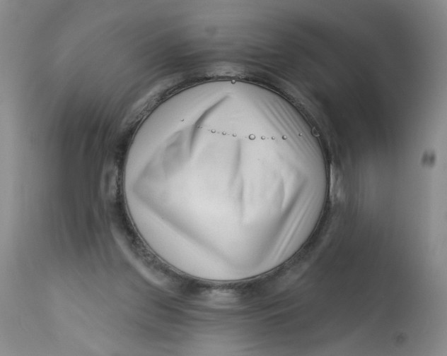 X0000113160157200909251401