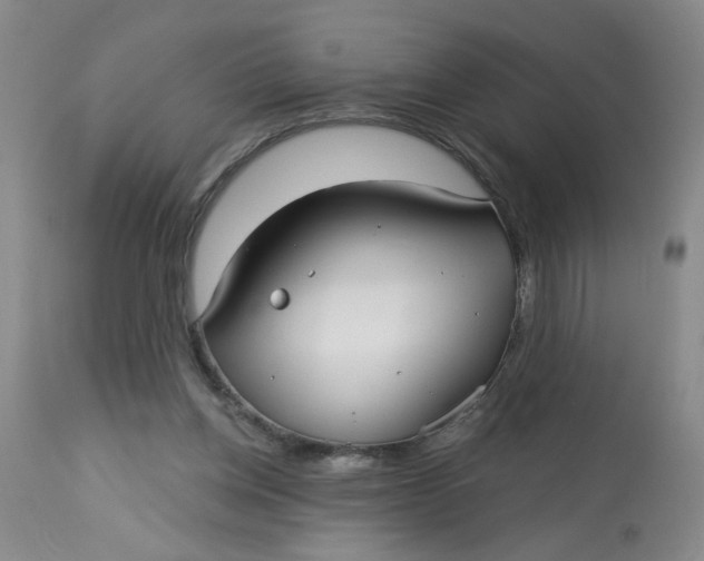 X0000113160158200909251401