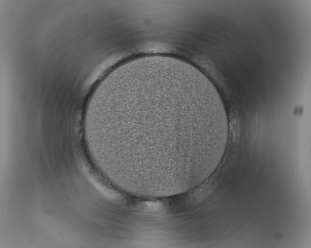 X0000113160159200909251401