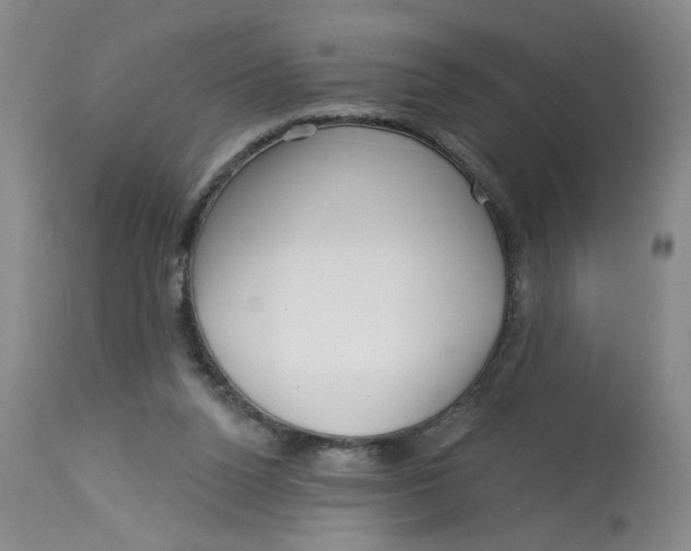 X0000113160160200909251401