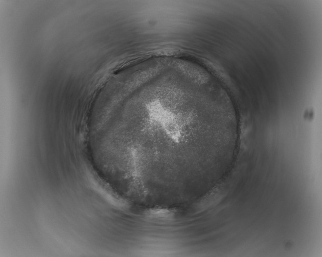 X0000113160161200909251401