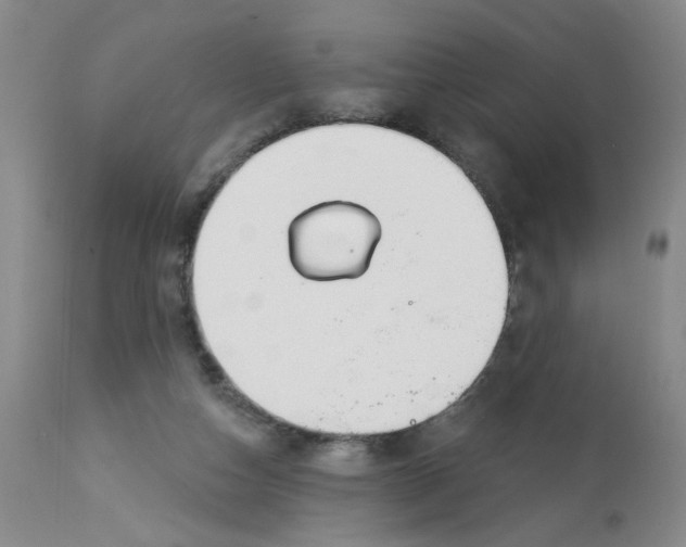 X0000113160162200909251401