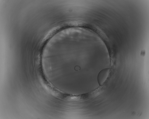 X0000113160163200909251402