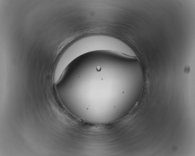 X0000113160164200909251402