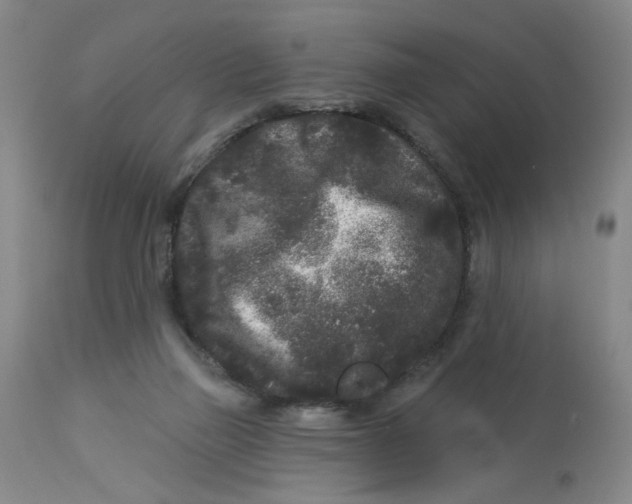 X0000113160165200909251402