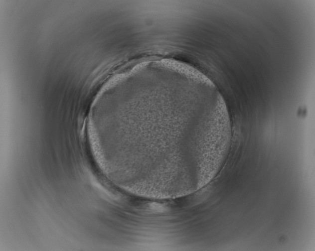 X0000113160166200909251402