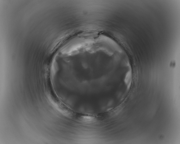 X0000113160167200909251402