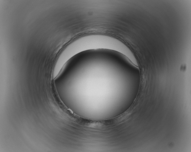 X0000113160168200909251402