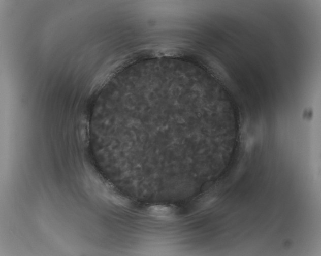 X0000113160169200909251402