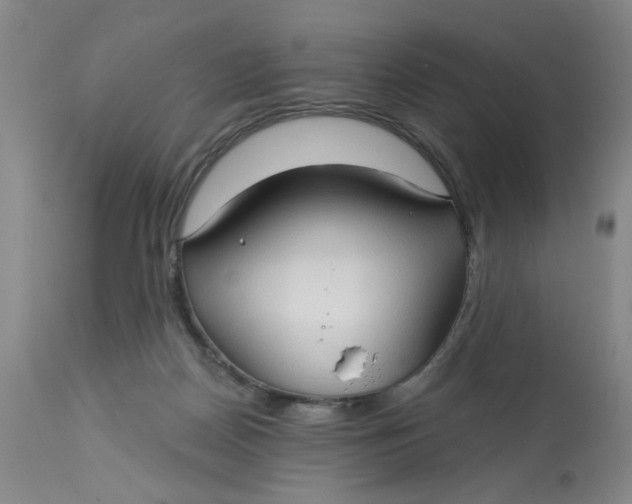 X0000113160170200909251402