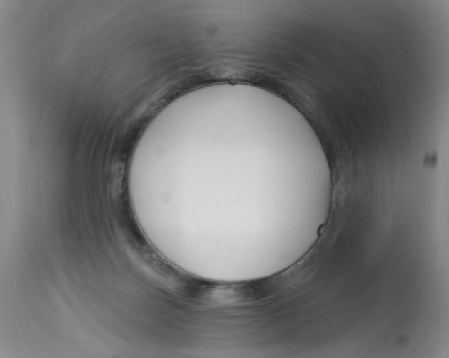 X0000113160171200909251402