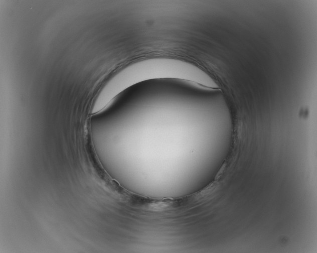 X0000113160172200909251402