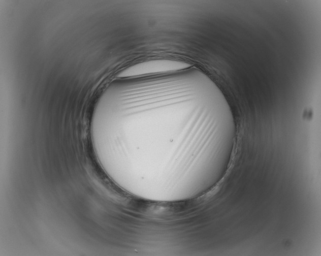 X0000113160174200909251402