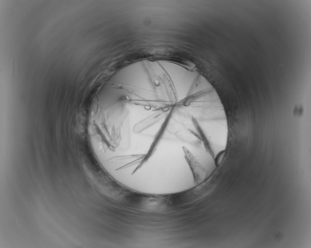 X0000113160175200909251402