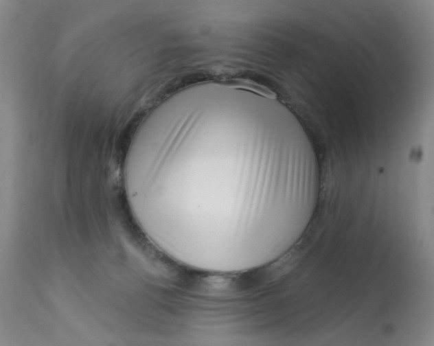 X0000113160176200909251402