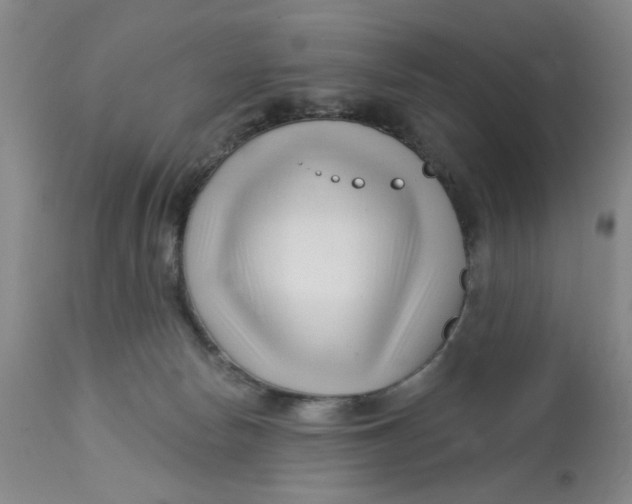 X0000113160178200909251402