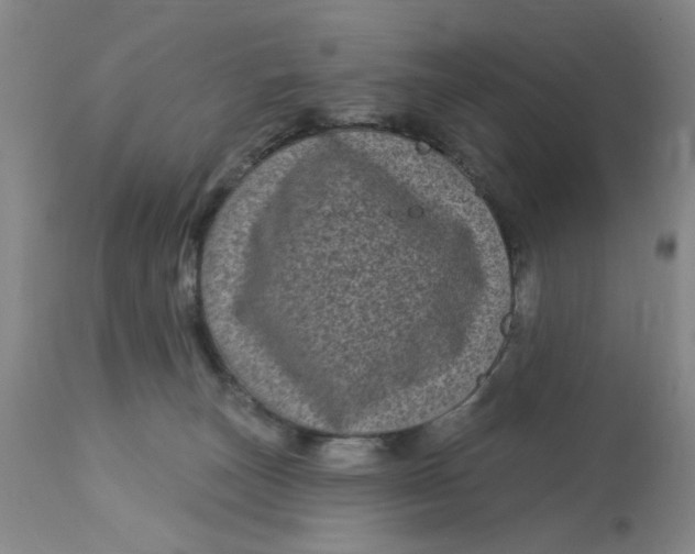 X0000113160179200909251402