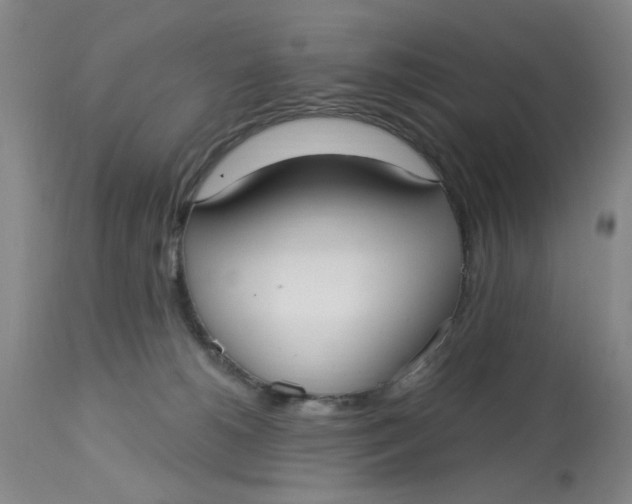 X0000113160180200909251402