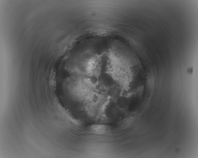 X0000113160181200909251402