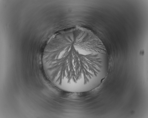 X0000113160182200909251402