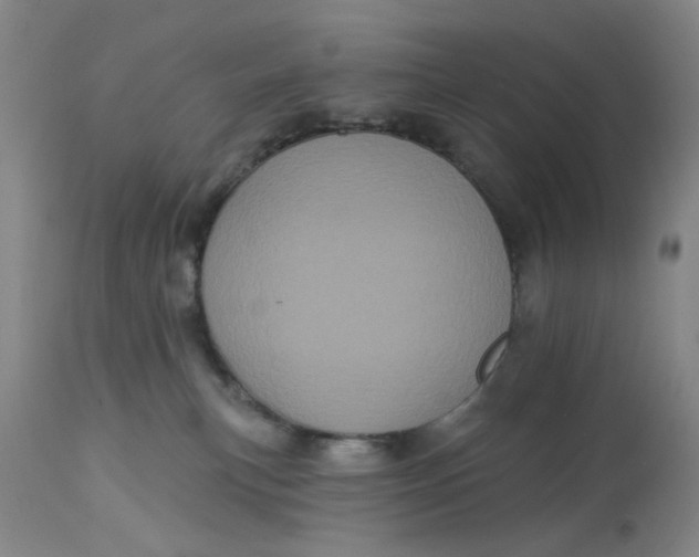 X0000113160183200909251402