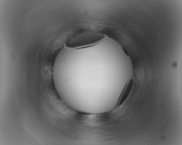 X0000113160184200909251402