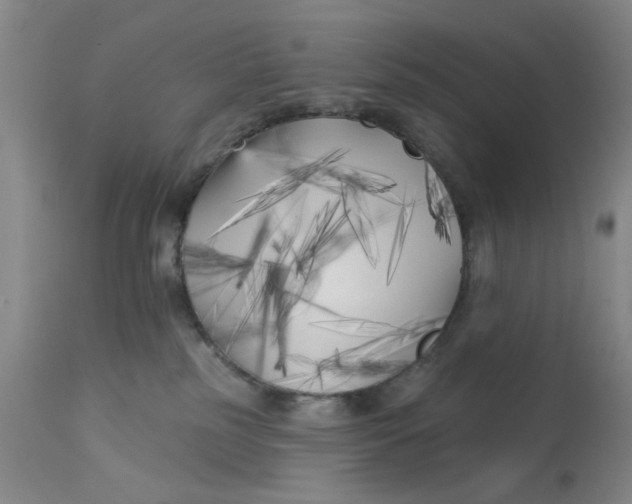 X0000113160185200909251402