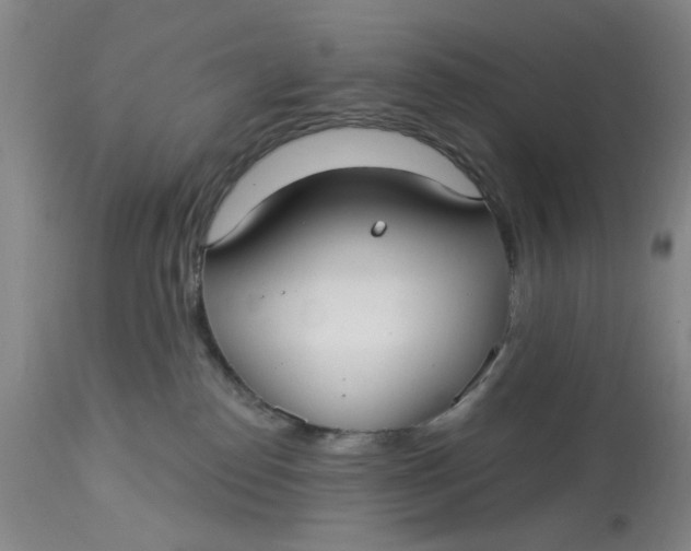 X0000113160186200909251402