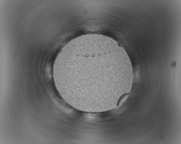 X0000113160187200909251402