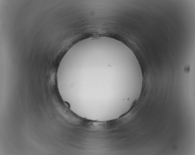 X0000113160188200909251402