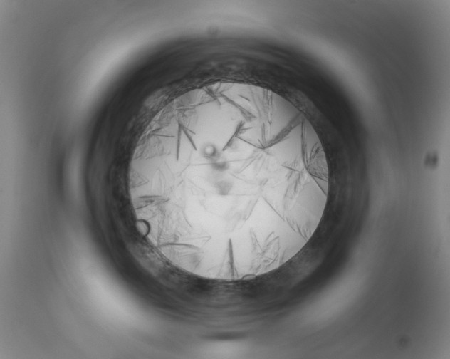 X0000113160189200909251402