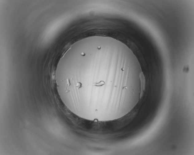 X0000113160190200909251402